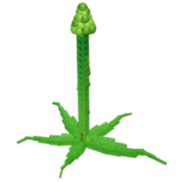 Tall Asparagus Produce
