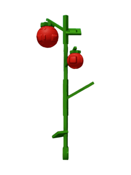 Tomato Plant