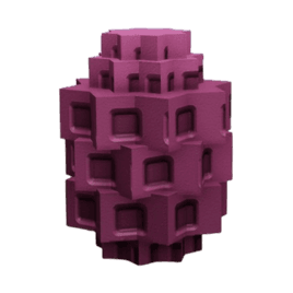 Violet Corn Produce