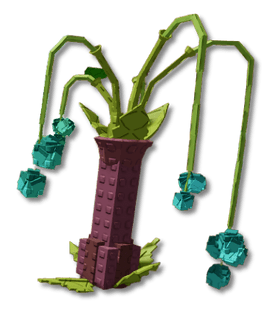Willowberry Plant