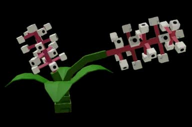 Banesberry Plant
