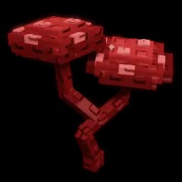 Bloodred Mushroom Produce