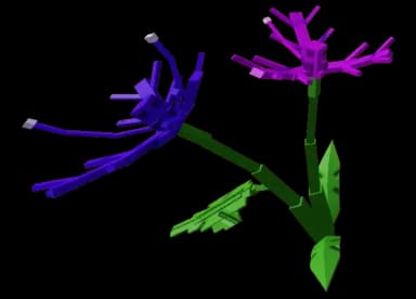 Zenflare Plant